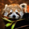 red-panda.jpg